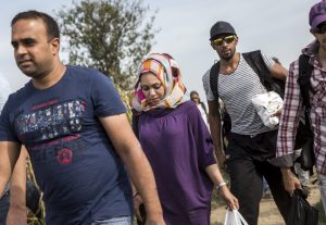 Illegális bevándorlás - Szerb-horvát határ